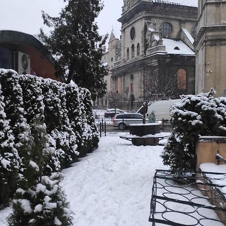 Двокімнатна Квартира В Центрі Міста Leopoli Esterno foto